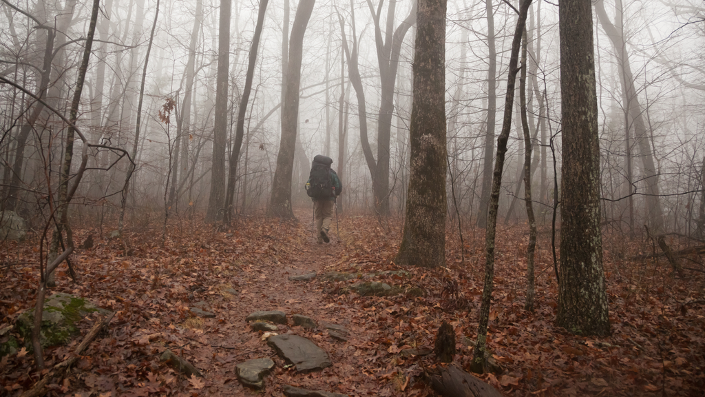 Hiking In The Rain